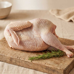 Gallina entera