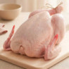 Pavo entero