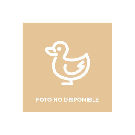 Pato